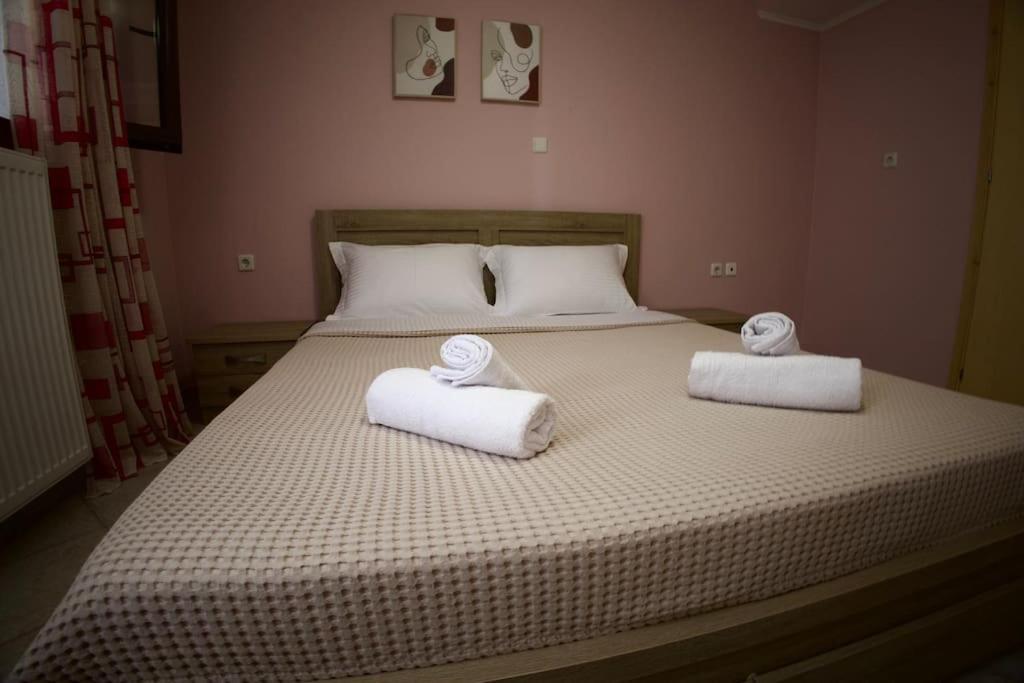 Mountain Harmony Home Konitsa Bagian luar foto