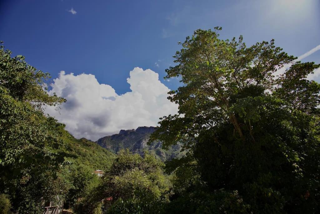 Mountain Harmony Home Konitsa Bagian luar foto