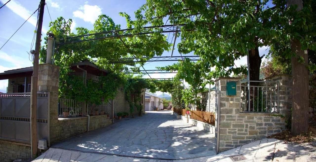 Mountain Harmony Home Konitsa Bagian luar foto